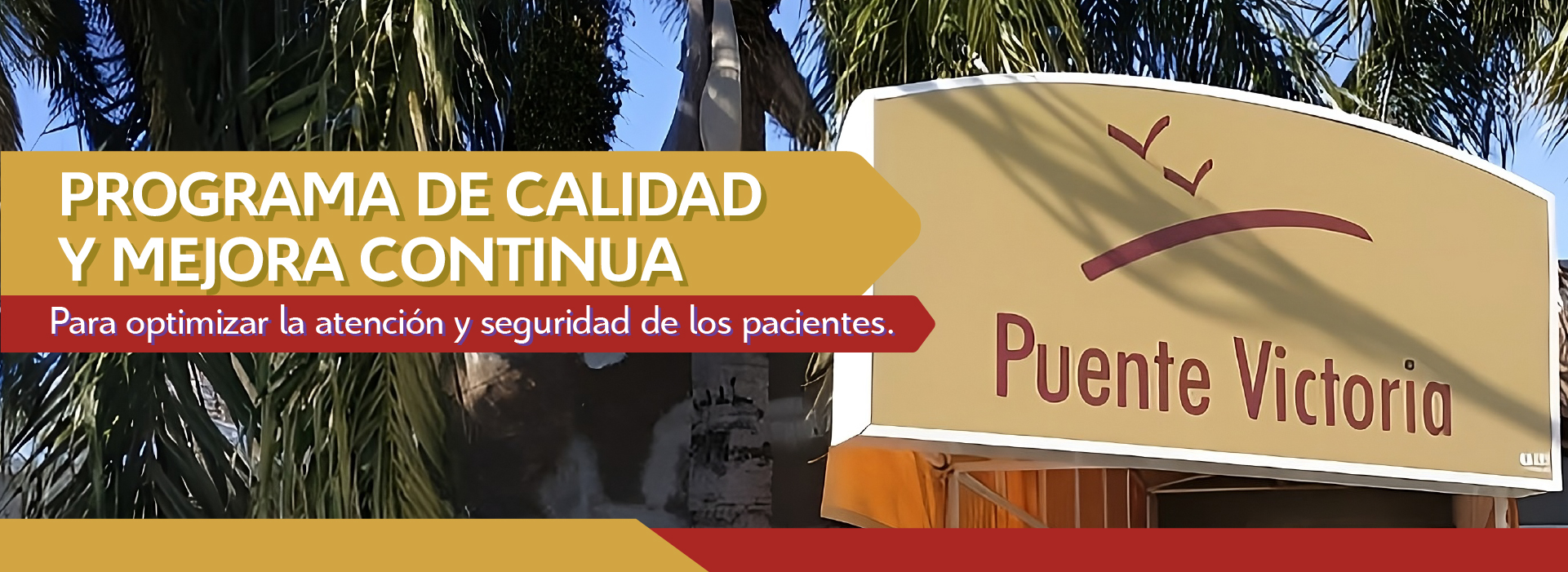 Mesa de trabajo 1 copia-100